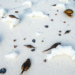 AI Reads Microbial Genomes to Forecast Life in Earth’s Saltiest Places