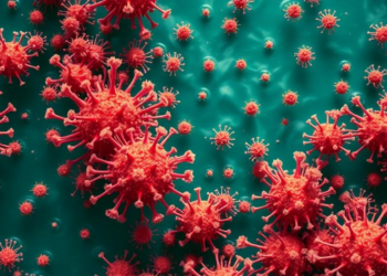 Widespread Ocean Viruses Infecting Plankton-Like Archaea Are Far More Diverse Than Thought