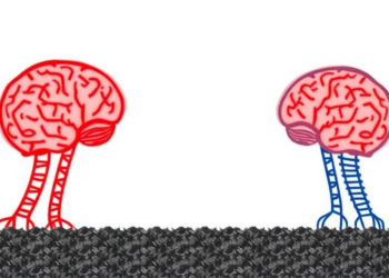 How Brains and Machines Learn to Avoid Disaster: The New Science of Safe Reinforcement Learning
