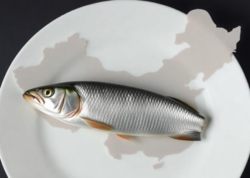 Fish on the Plate, Mercury in the Hair: Coastal China Study Maps Who Carries the Highest Burden