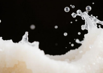 Sound waves unlock flaxseed protein’s hidden foaming and emulsifying power