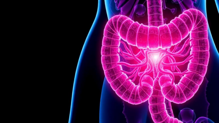 Blocking FGFR Signaling Supercharges Immunotherapy in Hard-to-Treat Colorectal Cancer