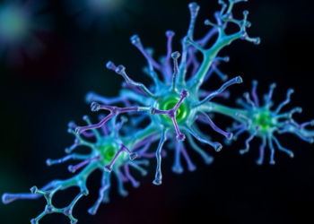 Synthetic Plant Immune Receptors Designed on Computers and Evolved in Living Plants
