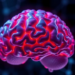 Mitochondrial protein CHCHD2 emerges as a guardian of the aging brain