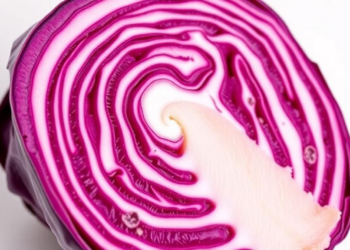 Red Cabbage Aerogel Labels Turn Color to Reveal When Chicken Goes Bad