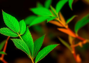 Infrared Fingerprints and AI Reveal How Herbal Medicine Processing Changes Chemistry