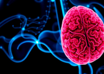 New Hormone Drugs Transform Prostate Cancer Outcomes in Japan, Landmark Real-World Study Shows