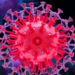 Cell’s Insert and Undo Machines Caught Working Together in One ER Supercomplex