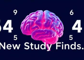 Your Brain Really Does Average Numbers, New Study Finds