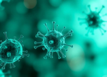Lipid Nanoparticles Reprogram NK Cells Inside the Body to Fight Cancer and Autoimmune Disease