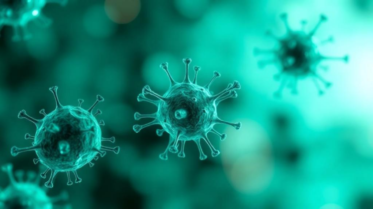 Lipid Nanoparticles Reprogram NK Cells Inside the Body to Fight Cancer and Autoimmune Disease