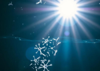 Sunlight-Powered Nanocomposites Strip Dangerous Bacteria From Contaminated Well Water