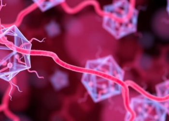 Smooth Muscle Cells Take Center Stage as Gene Study Reveals New Clues to Pulmonary Hypertension