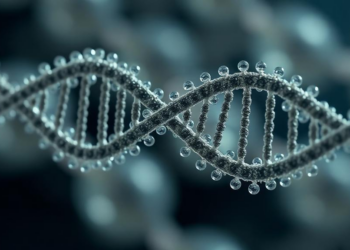 A Few Random Mutations Turn Simple RNA Droplets into Moving, Cargo-Carrying Synthetic Cells