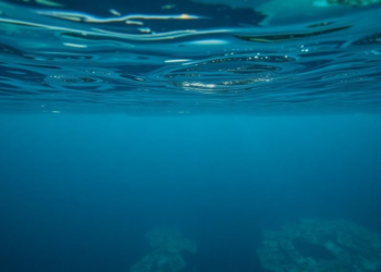 PLOS ONE Retracts Underwater Image Enhancement Paper Over Similarities to Prior Work