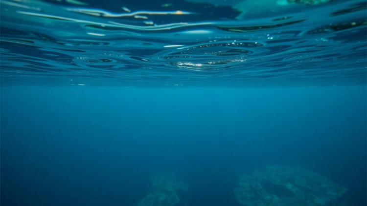PLOS ONE Retracts Underwater Image Enhancement Paper Over Similarities to Prior Work