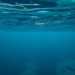 PLOS ONE Retracts Underwater Image Enhancement Paper Over Similarities to Prior Work