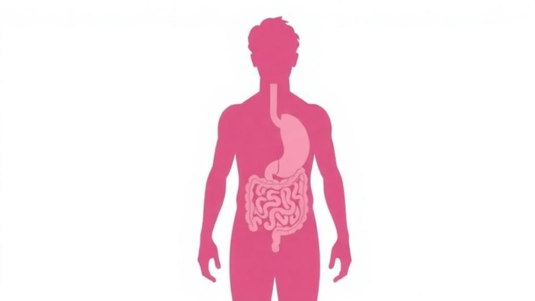 Gut Before Skin: IBS Tends to Precede Rosacea in Landmark Timing Study
