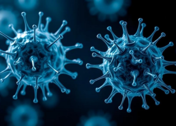 Two Rival Gene Networks Decide Whether B Cells Become Antibody Factories or Memory Makers