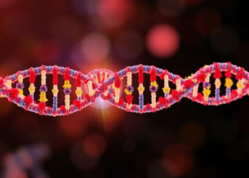 Hidden RNA Switches: New Tool Reveals lncRNAs That Define Tumor-Fighting T Cells