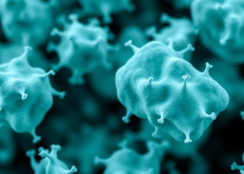 Trapping Lactic Acid Bacteria in Smart Carriers Could Transform Food Biotech