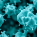 Trapping Lactic Acid Bacteria in Smart Carriers Could Transform Food Biotech