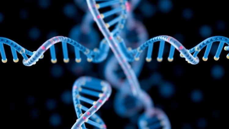 Whole-Exome Sequencing Finds Genetic Answers in a Third of Complex Autism Cases