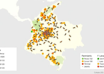 Mosquito Genes Map Colombia’s Hidden Aedes aegypti Lineages