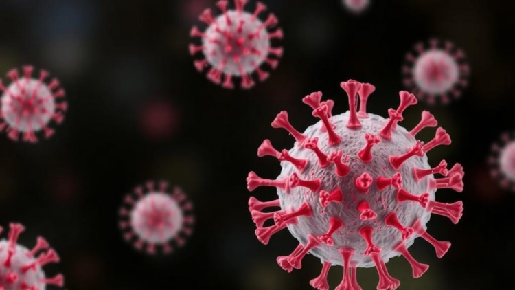 Cell-Penetrating Receptor Mimic Delivers a Long-Sought Blow Against Enteroviruses
