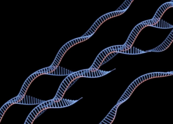 PrimeStack: New Gene-Stacking Tool Writes Large DNA Cargos Into Rice Genomes at Precise Sites