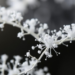 Tiny Doses of Alumina Tame Zinc Dendrites in Flexible Zinc-Air Batteries