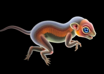 Scientists Pinpoint TRIP10 as a Molecular Driver of Fetal Growth Restriction