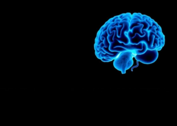 Dual Immunotherapy Clues Reveal How to Wake the Immune System Against Glioblastoma