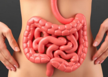 Gut Microbes Linked to Body Weight May Shape Breast Cancer Risk