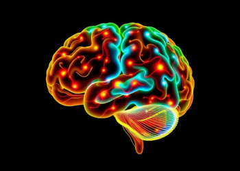Smarter EEG Brain Imaging Tracks How the Brain Rewires Itself as We Learn New Movements