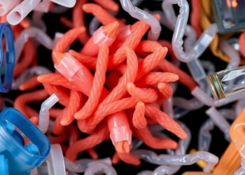 Engineered Microbes Could Turn Plastic Waste Into a Circular Resource