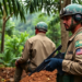 Mining, Military Work and Jungle Travel Drive Cutaneous Leishmaniasis Diagnoses in Guyana