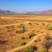 Vanishing Farmland Leaves the American West More Exposed to Wildfire