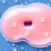 Self-Healing Hydrogel Delivers Growth Factor to Keep Transplanted Fat Alive