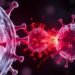 Cell Cycle Timing Shapes How Natural Killer Cells Fire Their Weapons