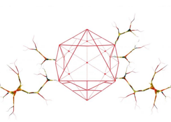 Geometry’s Hidden Roots: Intuition Persists Into Adulthood and Falters in Dyscalculia