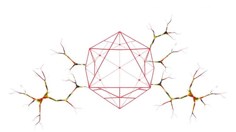 Geometry’s Hidden Roots: Intuition Persists Into Adulthood and Falters in Dyscalculia