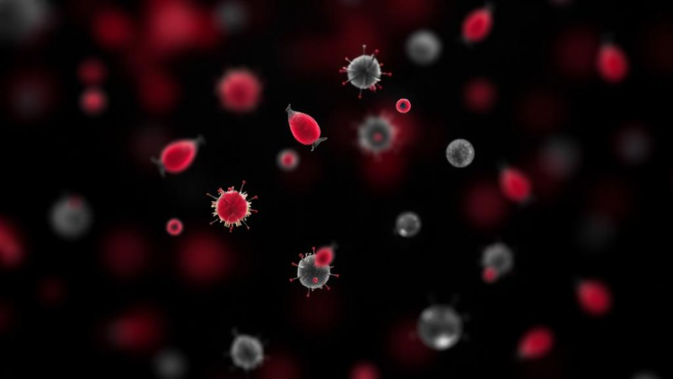 Thyrotoxicosis and Low Neutrophils: Japanese Cohort Finds Similar Risk Across Disease Types