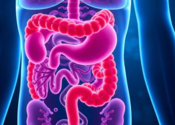 The Amino Acid Gateway SLC6A14 Emerges as a Player in Gut Disease and Cancer