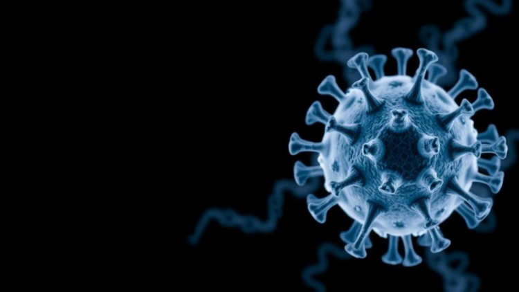 Cytoskeletal Gene Variant Linked to Severe COVID-19 in Pakistani Cohort
