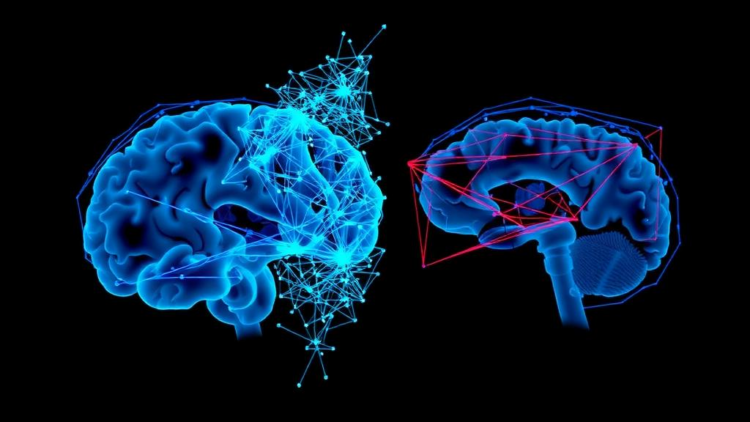 Brain Network Breakdown: Scans Reveal a Signature of Suicidal Thinking in Recurrent Depression