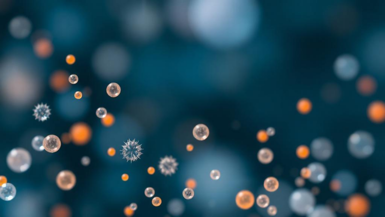 Particle Engineering and Formulation Science Drive Translational Drug Development Forward