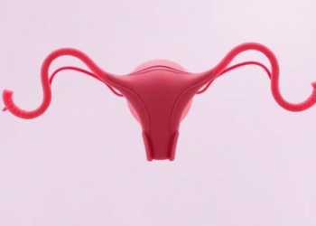 Postmenopausal Ovaries Stay Biologically Active, Study Finds