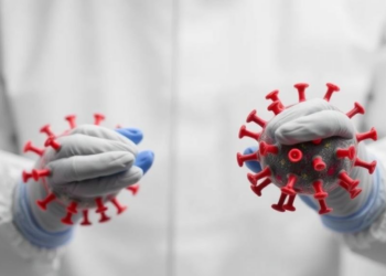 Powassan Virus Strains Across North America Show Striking Laboratory Differences
