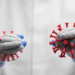 Powassan Virus Strains Across North America Show Striking Laboratory Differences